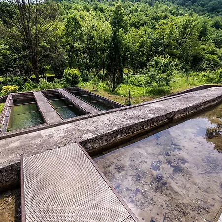 Eko House Dobrenica Tatil Evi