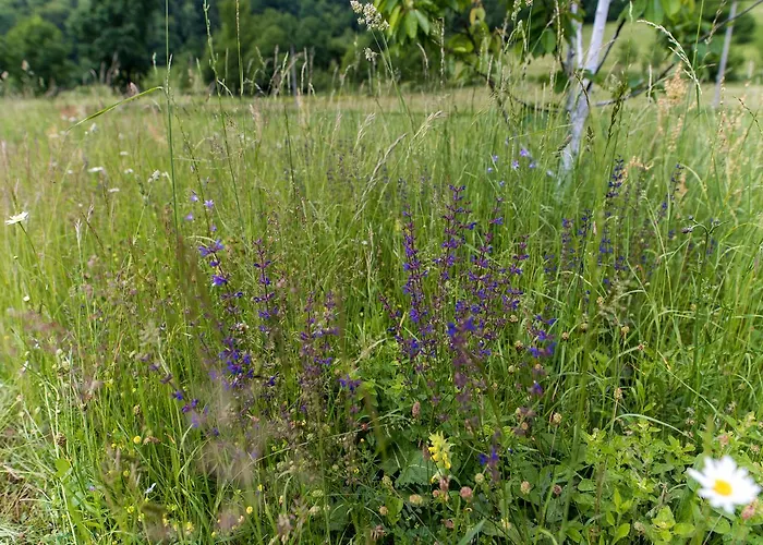 Eko House Dobrenica 度假居 Bihać