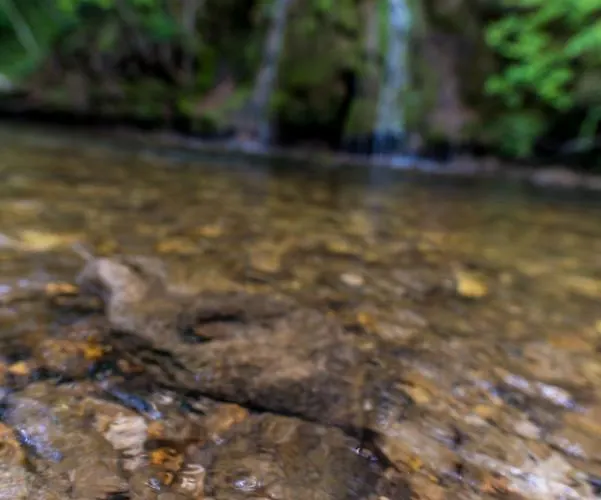 Eko House Dobrenica 度假居