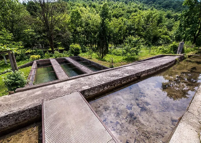 Eko House Dobrenica 度假居