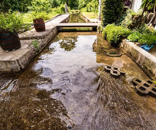 Eko House Dobrenica 度假居 *